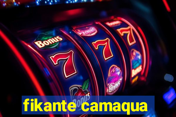 fikante camaqua